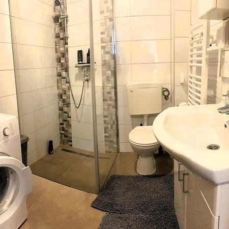 Zentrale Petrovic דירה *