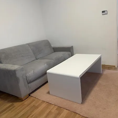 Apartament Zentrale Petrovic *