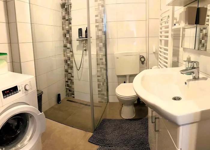 Zentrale Petrovic Apartament *