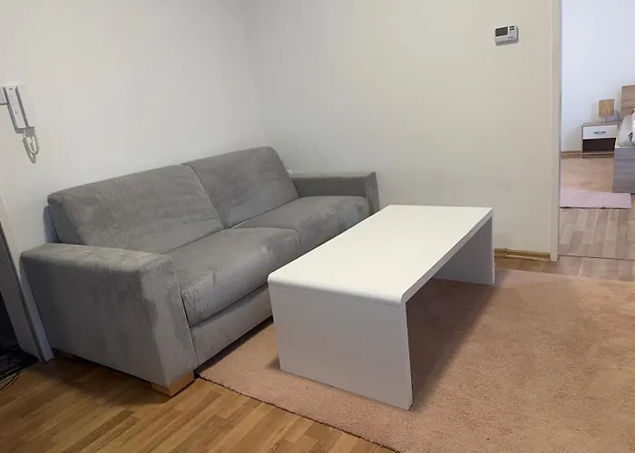 Apartament Zentrale Petrovic *